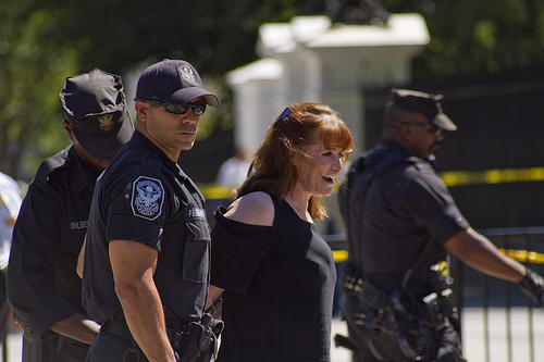 7 Famous Women Whove Been Arrested For Protesting