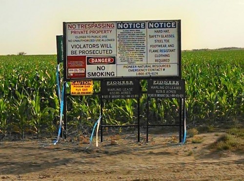 Pioneer Dirty Flares Sign